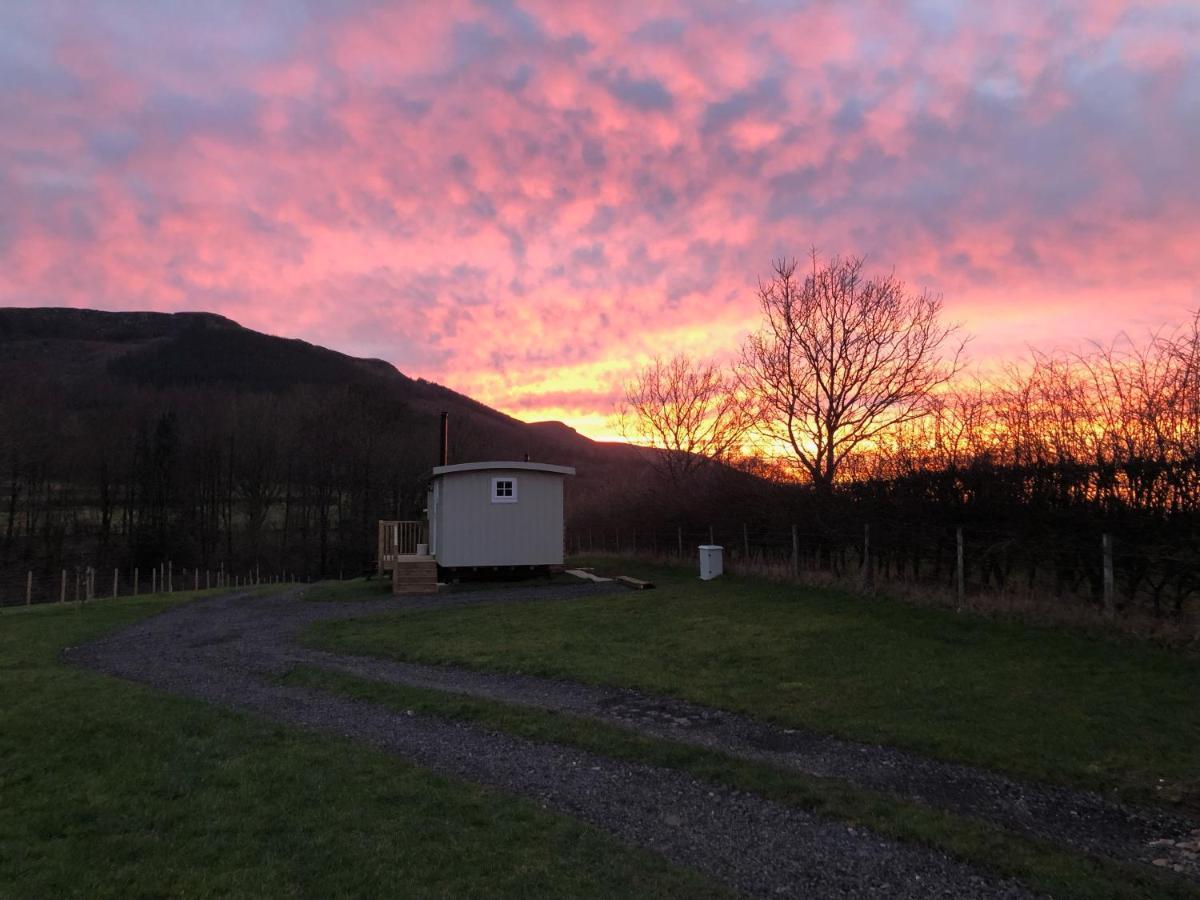 Rosemary Shepherds Hut, Clay Bank Huts Ingleby Greenhow Luaran gambar