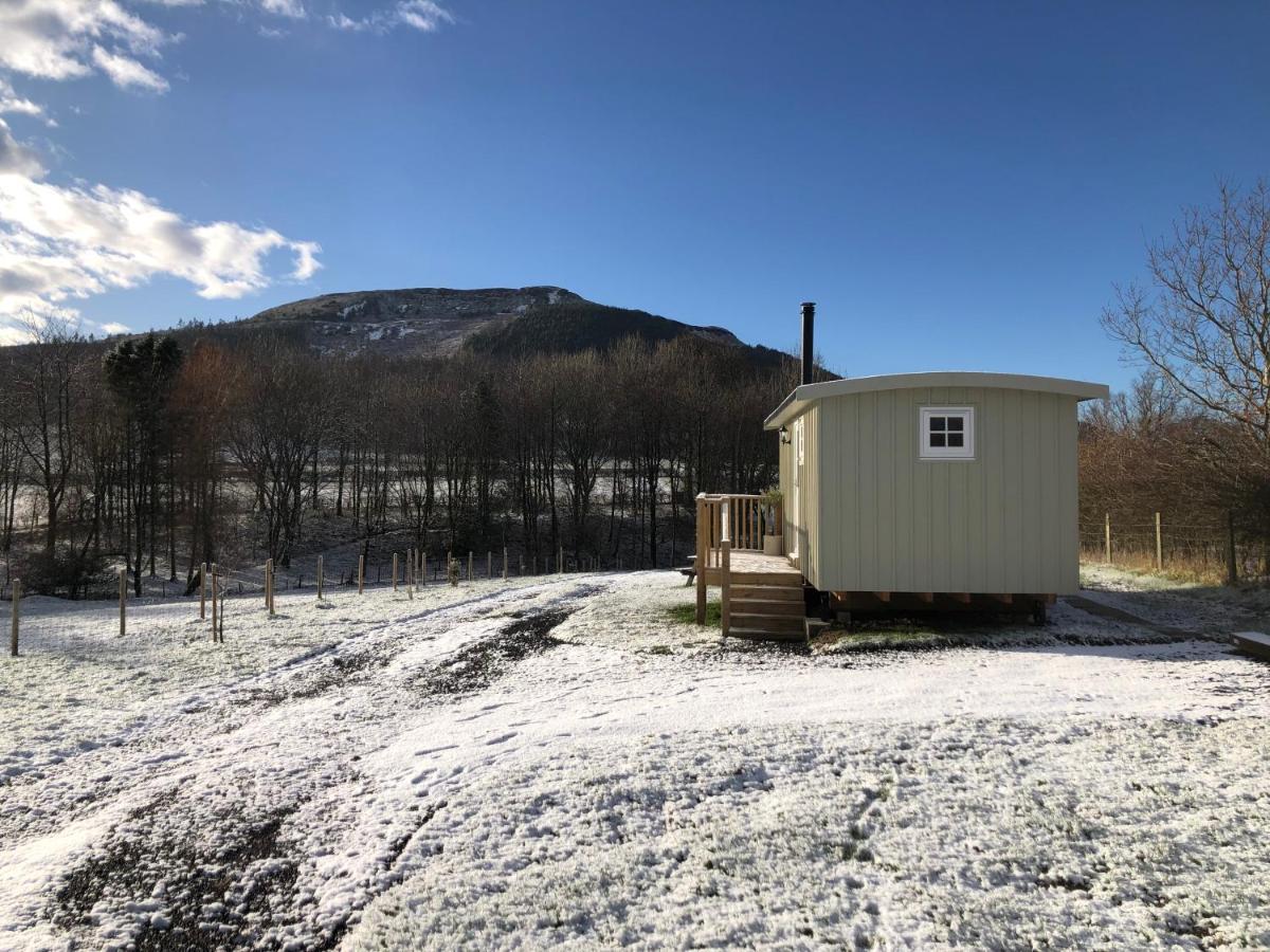 Rosemary Shepherds Hut, Clay Bank Huts Ingleby Greenhow Luaran gambar