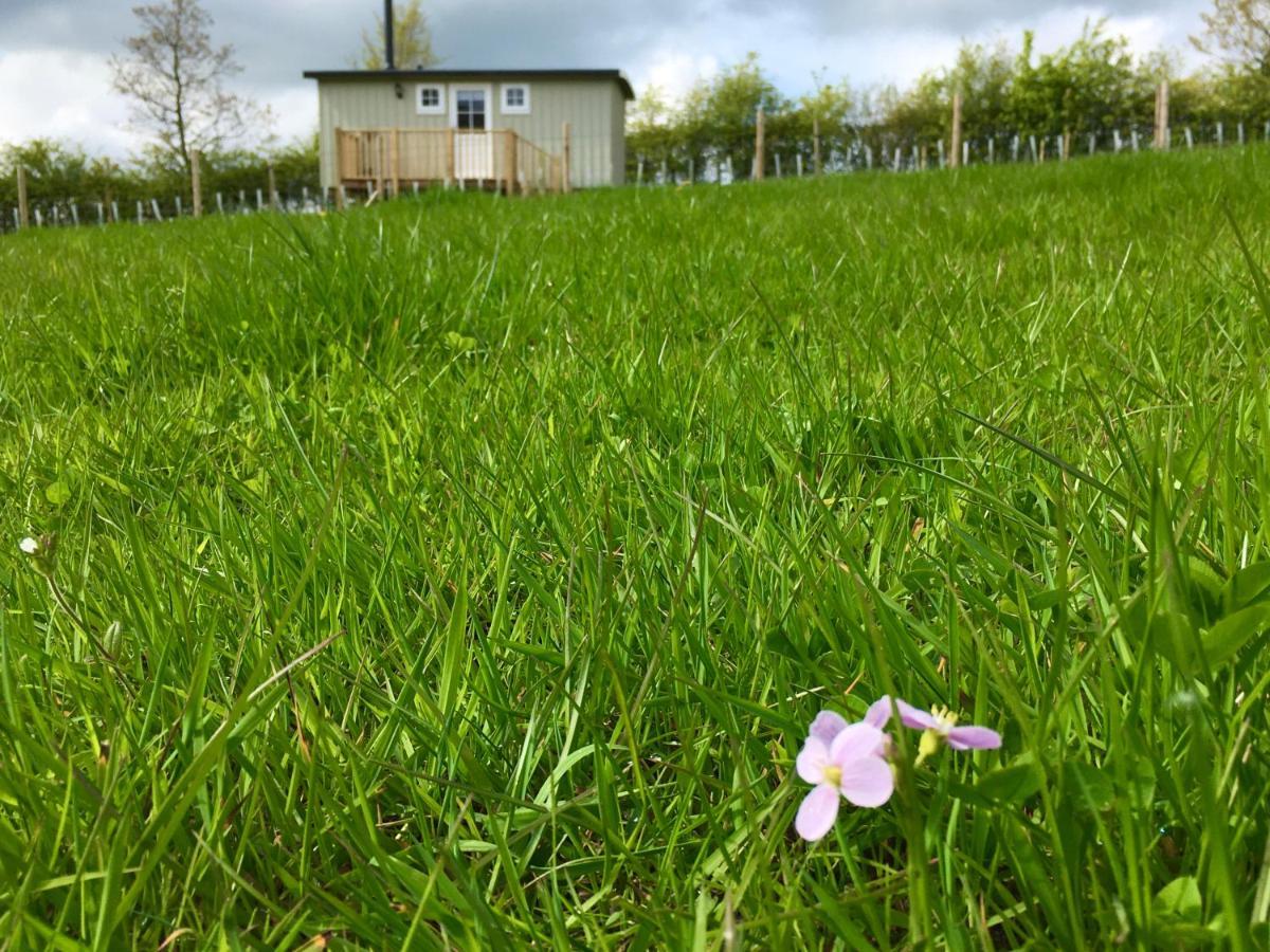 Rosemary Shepherds Hut, Clay Bank Huts Ingleby Greenhow Luaran gambar